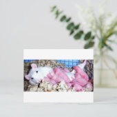 Carte Postale Mère (Debout devant)