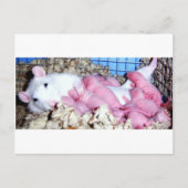 Carte Postale Mère (Devant)