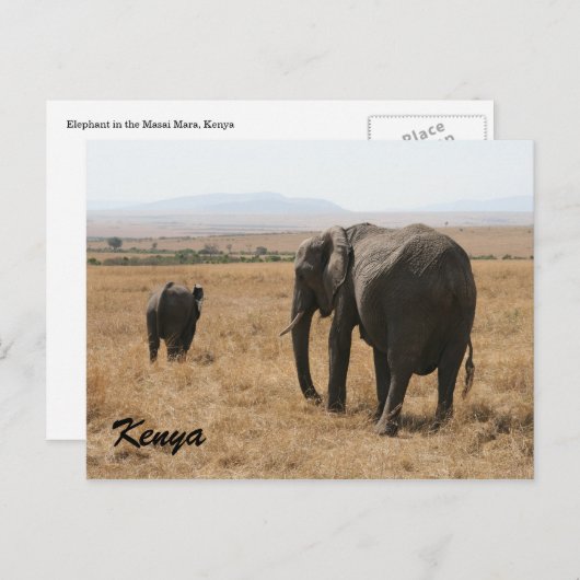 Carte Postale mère africaine d'éléphants (Devant / Derrière)