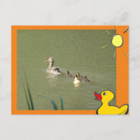 Mère Canard avec Jeunes & Cartons do-it-yourself C