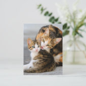 Carte Postale Mère chat adore chaton mignon (Debout devant)