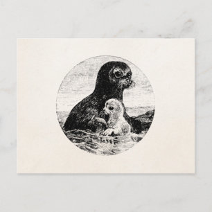 Carte Postale Mère de phoque de la harpe vintage avec Modèle de 