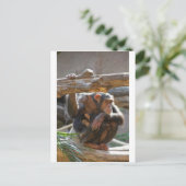 Carte Postale Mère et bébé (Debout devant)