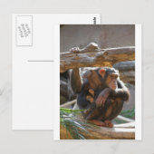 Carte Postale Mère et bébé (Devant / Derrière)