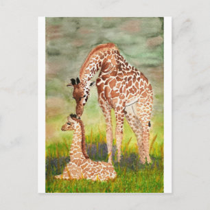Carte Postale Mère et bébé Giraffes