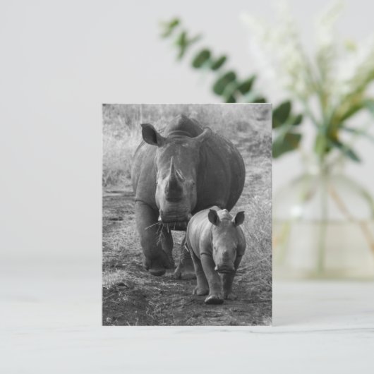 Carte postale mère et bébé Rhino (Debout devant)