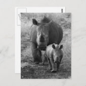 Carte postale mère et bébé Rhino (Devant / Derrière)