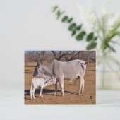 Carte Postale Mère et enfant (Debout devant)