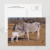 Carte Postale Mère et enfant (Devant / Derrière)