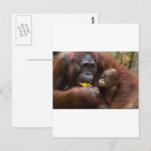 Carte Postale Mère et fils (Devant / Derrière)