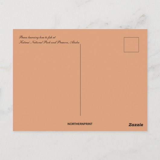 Carte Postale Mère et ours Cubs Pêche en Alaska (Dos)