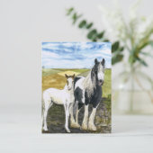 Carte postale mère et poulain (Debout devant)