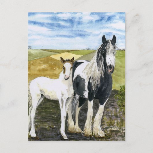 Carte postale mère et poulain (Devant)