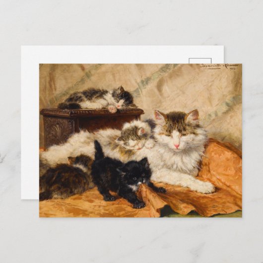 Carte Postale Mère et ses chatons (Devant / Derrière)
