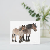 Carte Postale Mère & Foie Cheval Belge (Debout devant)