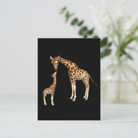 Carte Postale Mère Giraffe et bébé Giraffe (Debout devant)