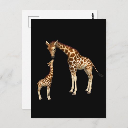 Carte Postale Mère Giraffe et bébé Giraffe (Devant / Derrière)