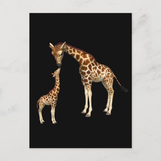 Carte Postale Mère Giraffe et bébé Giraffe (Devant)