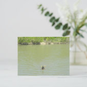 Carte Postale Mère Goose et ses bébés (Debout devant)