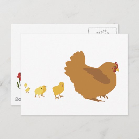 Carte Postale Mère Hen et poules (Devant / Derrière)