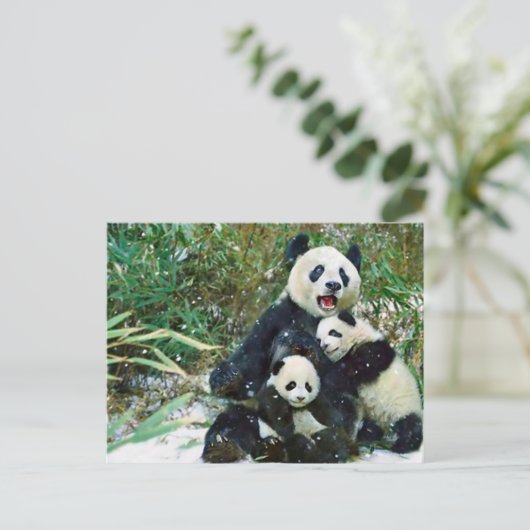 Carte Postale Mère Panda (Debout devant)