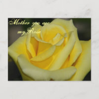 Mère Vous êtes mon Rose/N'importe quelle occasion_