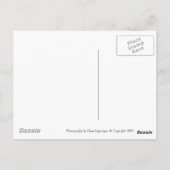 Carte Postale Mères (Dos)