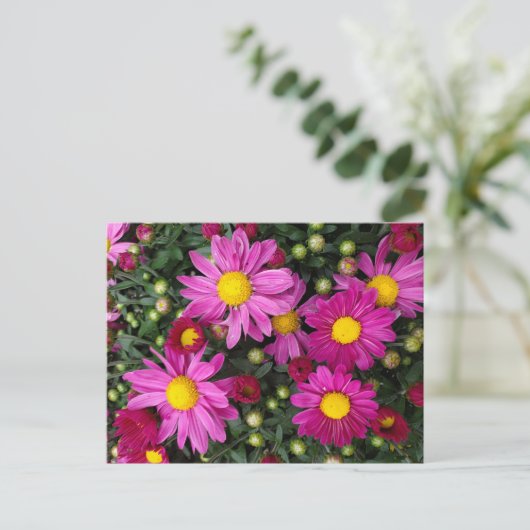 Carte Postale Mères (Debout devant)