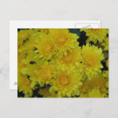 Carte Postale Mères jaunes (Devant / Derrière)