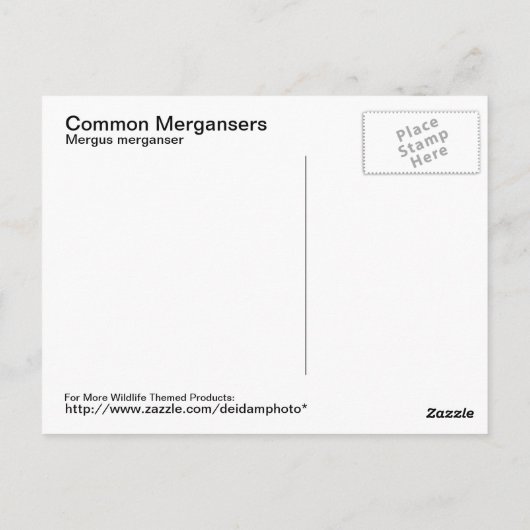 Carte postale Merganer (Dos)