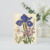 Carte postale Merian Floral Art (Debout devant)