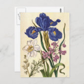 Carte postale Merian Floral Art (Devant / Derrière)