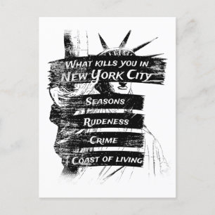 Carte Postale Merica Humour Amérique USA Funny Patriotisme New Y