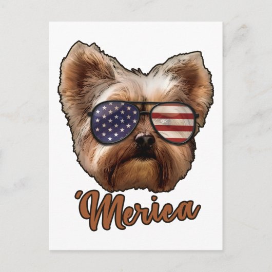 Carte Postale Merica Yorkshire, Amoureux des chiens, America Fla (Devant)
