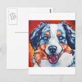 Carte Postale Merle Aussie (Devant / Derrière)