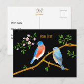 Carte Postale Merles bleus (Devant / Derrière)