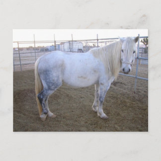 Carte postale Merlin