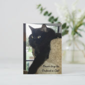 Carte Postale Merlin la citation de chat (Debout devant)