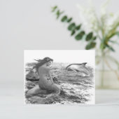 Carte Postale Mermaid et Dolphin (Debout devant)