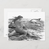 Carte Postale Mermaid et Dolphin (Devant / Derrière)