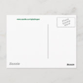 Carte postale Mermaids (Dos)