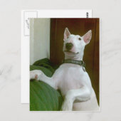 Carte Postale merra (Devant / Derrière)