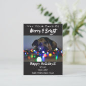 Carte Postale "Merry & Bright" Ajouter Pet Photo Holiday (Debout devant)