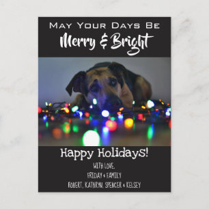 Carte Postale "Merry & Bright" Ajouter Pet Photo Holiday