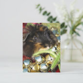 Carte Postale Merry Christmas Guinea Pig (Debout devant)
