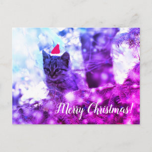 Carte postale Merry Christmas Kitten