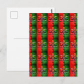 CARTE POSTALE MERRY CHRISTMAS POSTCARD (Devant / Derrière)