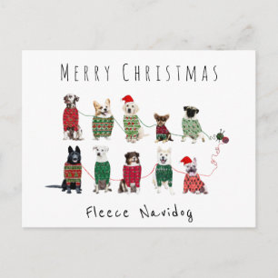 Carte Postale Merry noël fleece navidog saut en tricot