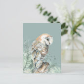 Carte Postale Merveilleuse Chouette d'Amérique Oiseau Faune Natu (Debout devant)