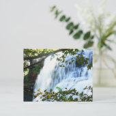 Carte postale merveilleuse de cascade (Debout devant)